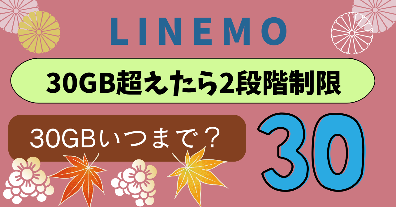 LINEMO30GB超えたら